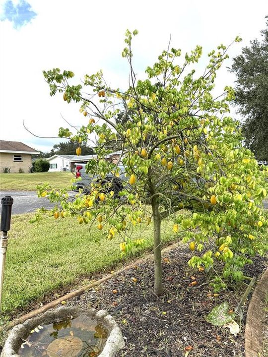 For Sale: $495,000 (3 beds, 2 baths, 1822 Square Feet)