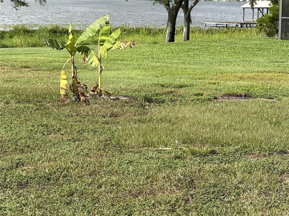 For Sale: $495,000 (3 beds, 2 baths, 1822 Square Feet)