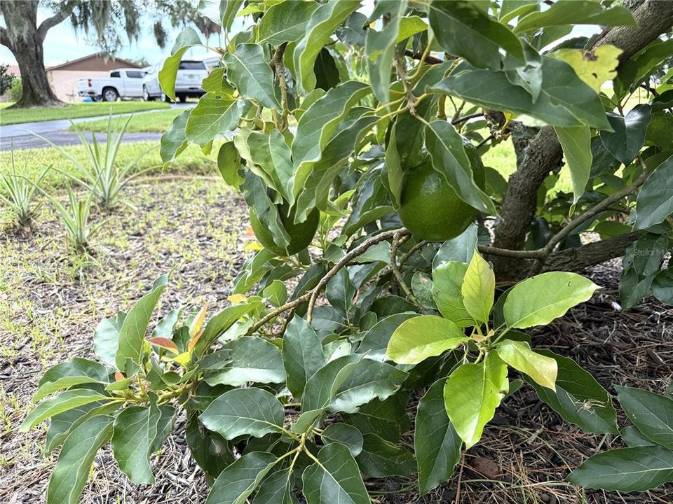 For Sale: $495,000 (3 beds, 2 baths, 1822 Square Feet)