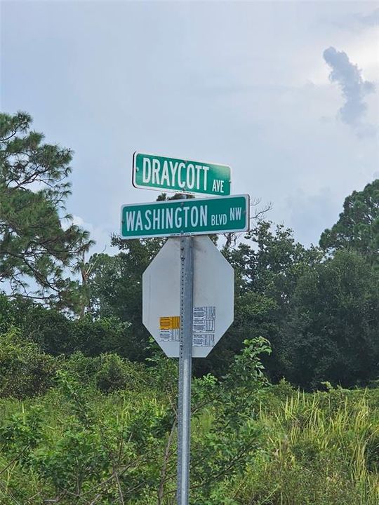 На продажу: $15,500 (0.24 acres)