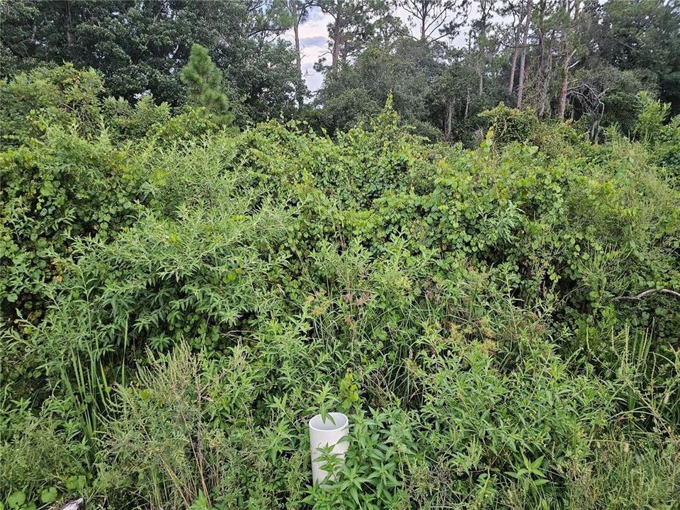 На продажу: $15,500 (0.24 acres)