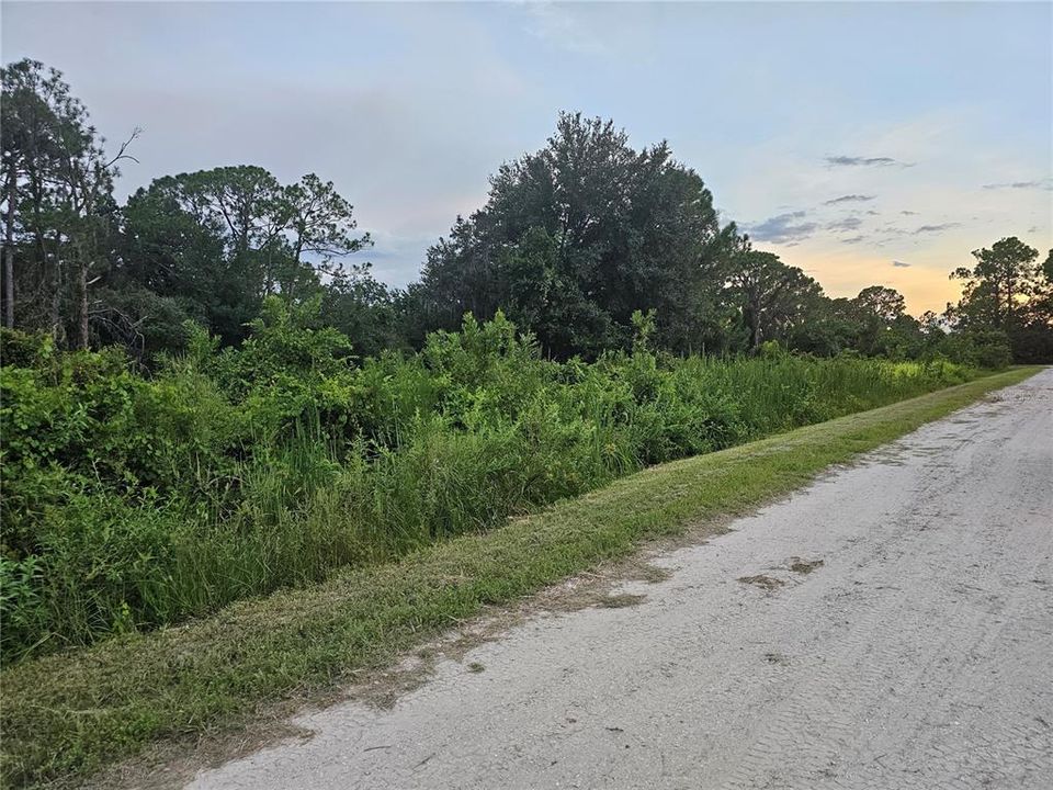 На продажу: $15,500 (0.24 acres)