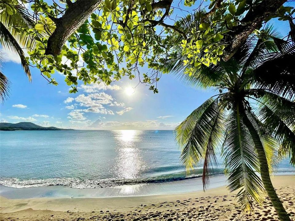 For Sale: $497,000 (4 beds, 0 baths, 1584 Square Feet)