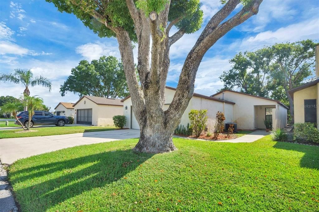 Active With Contract: $211,500 (3 beds, 2 baths, 1420 Square Feet)