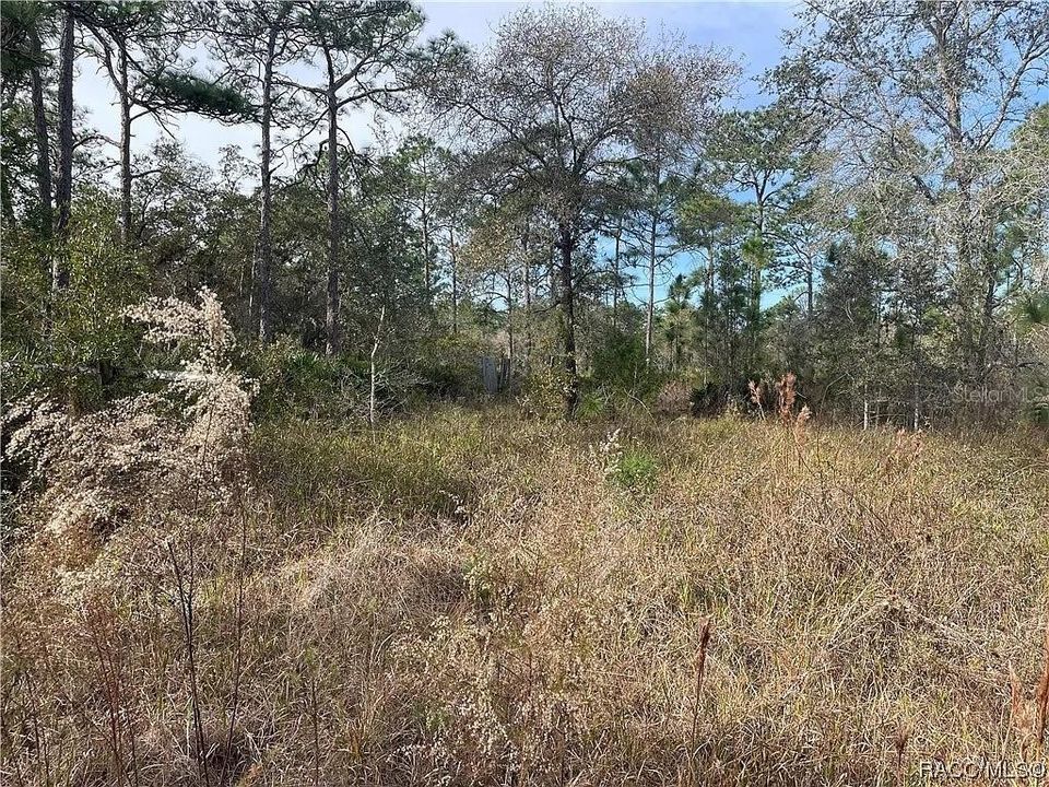 На продажу: $20,000 (0.30 acres)