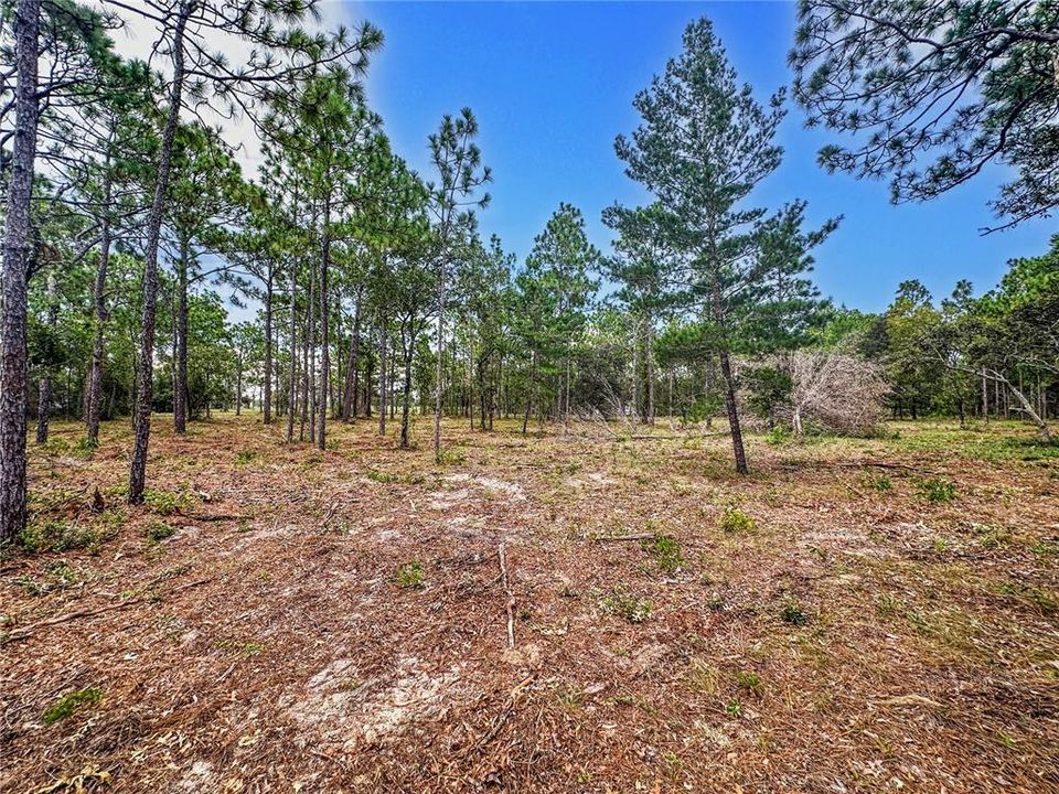 На продажу: $999,000 (4.90 acres)