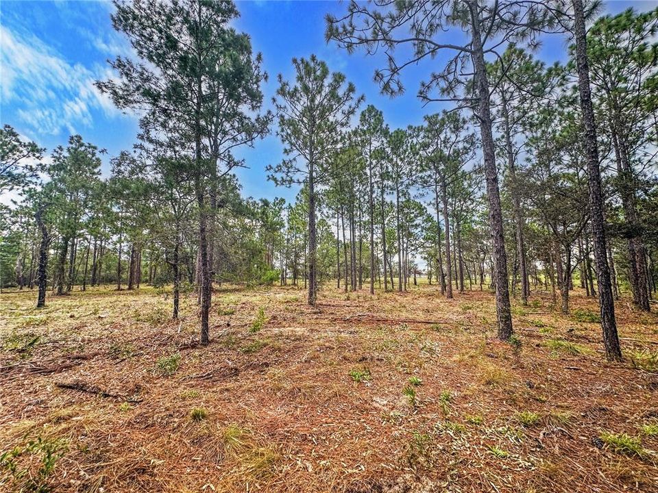 На продажу: $999,000 (4.90 acres)