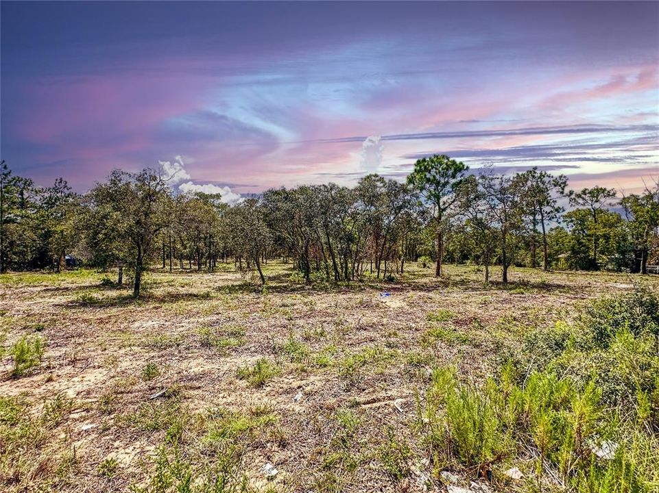 На продажу: $999,000 (4.90 acres)