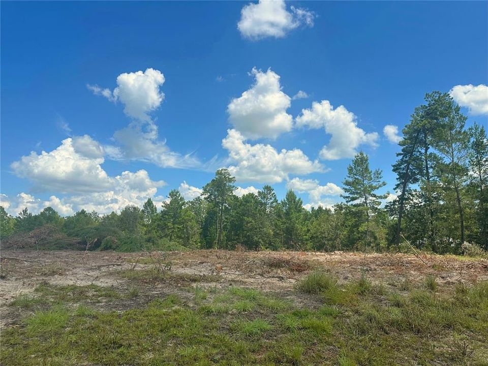 For Sale: $139,200 (5.10 acres)