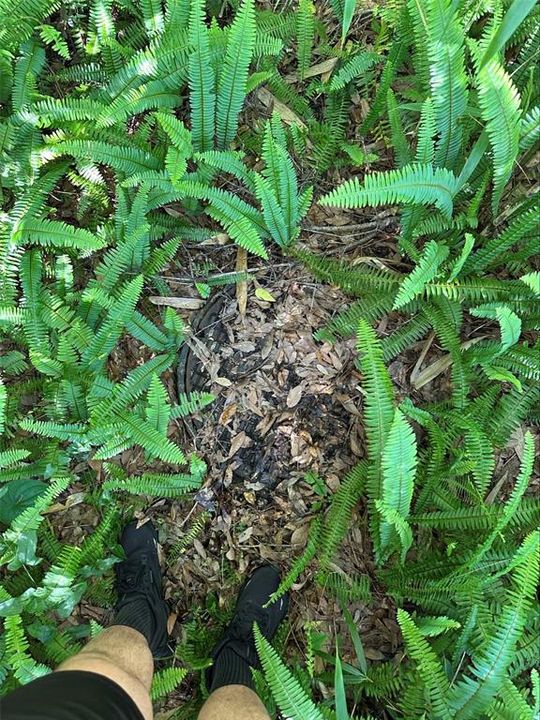 For Sale: $210,000 (2.59 acres)