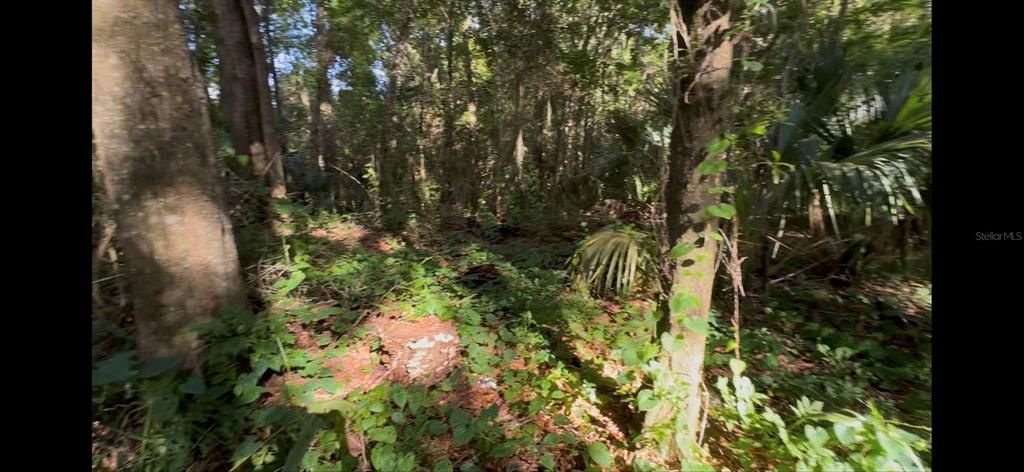 For Sale: $210,000 (2.59 acres)