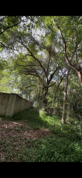 For Sale: $210,000 (2.59 acres)