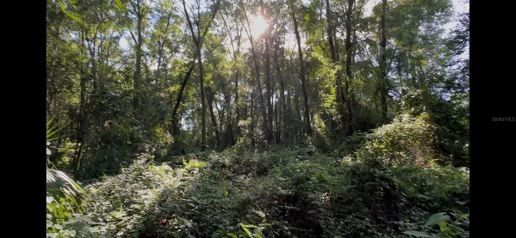 For Sale: $210,000 (2.59 acres)