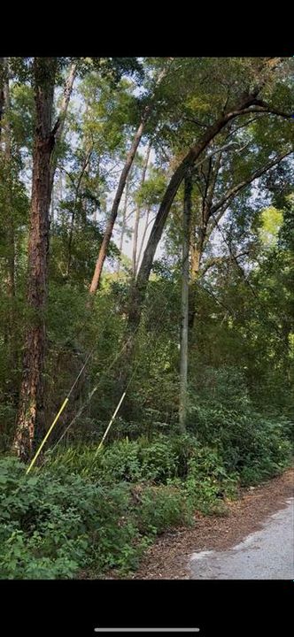 For Sale: $210,000 (2.59 acres)