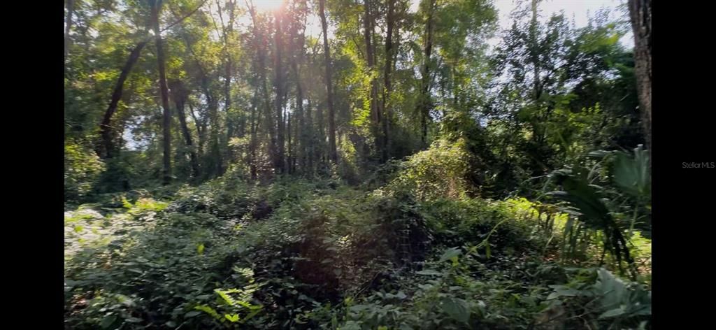 For Sale: $210,000 (2.59 acres)