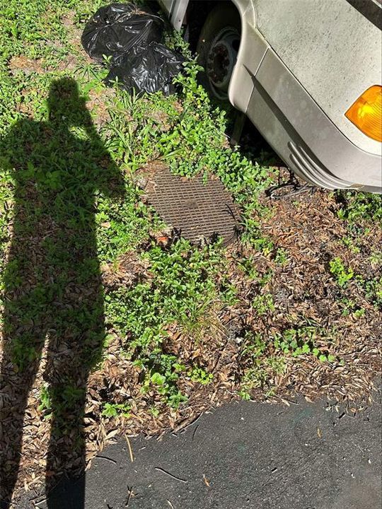 For Sale: $210,000 (2.59 acres)