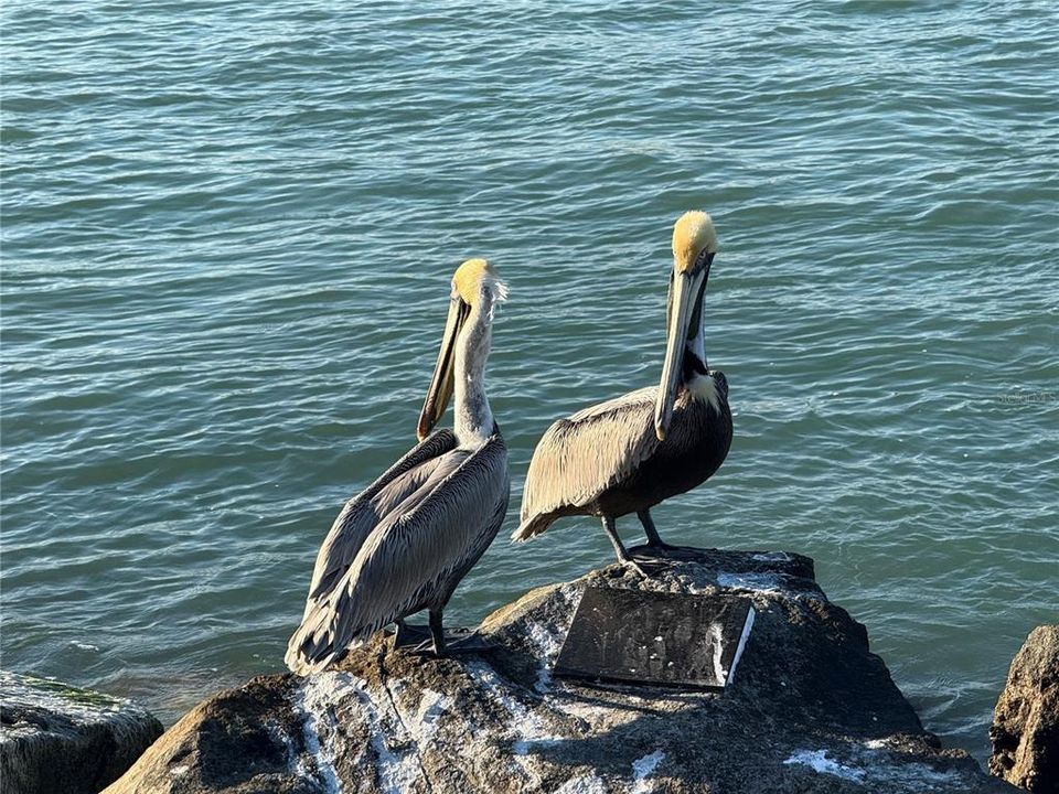 For Sale: $1,499,999 (3 beds, 4 baths, 2729 Square Feet)