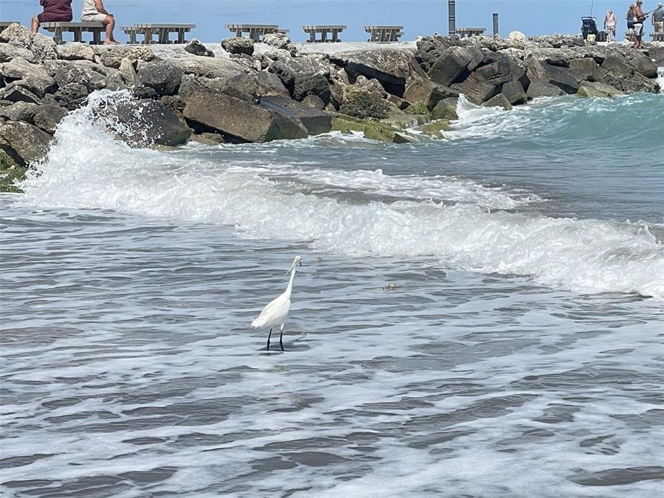 For Sale: $1,499,999 (3 beds, 4 baths, 2729 Square Feet)