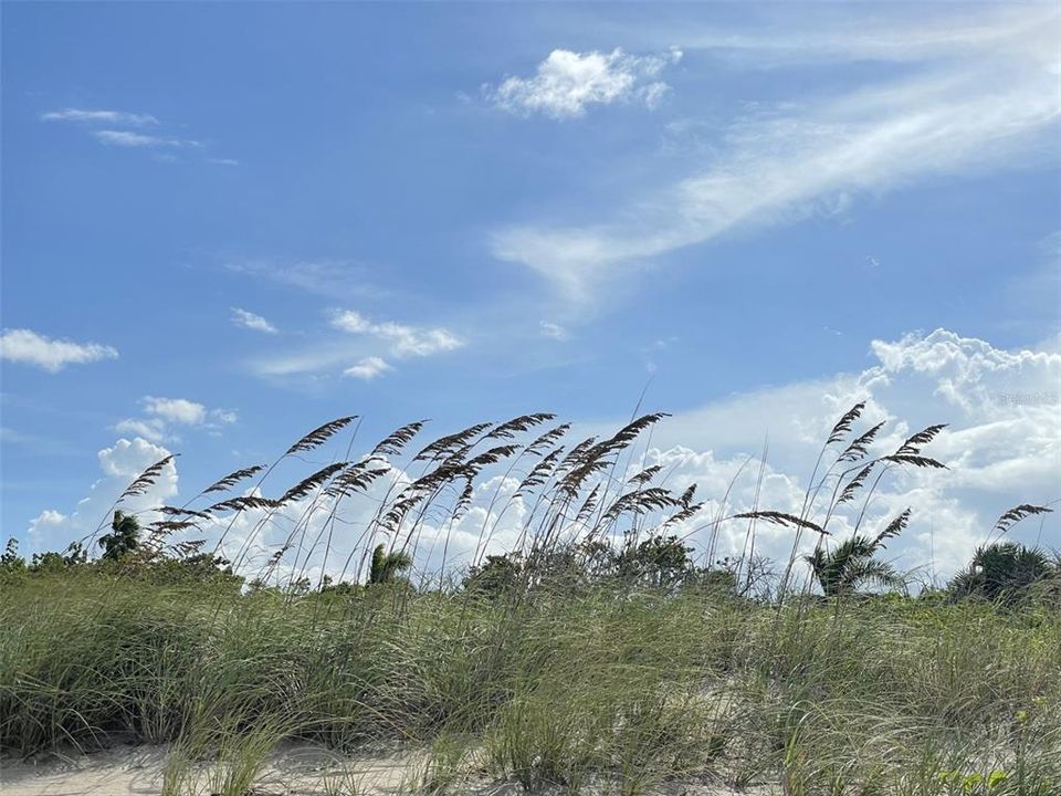 For Sale: $1,499,999 (3 beds, 4 baths, 2729 Square Feet)