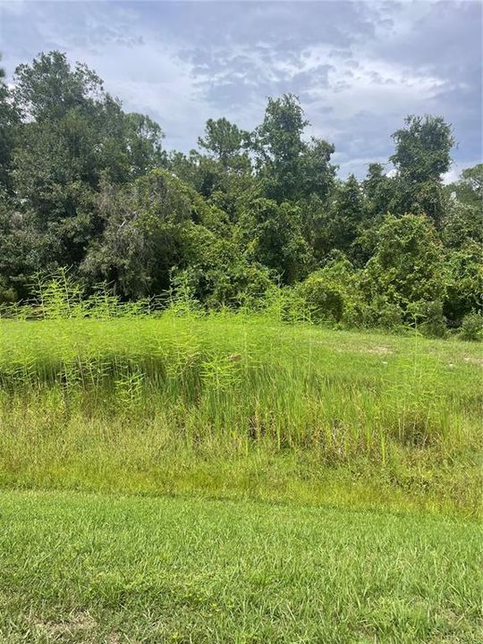 待售: $79,900 (0.09 acres)