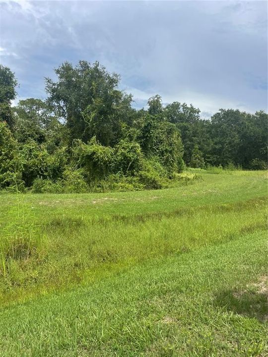 待售: $79,900 (0.09 acres)