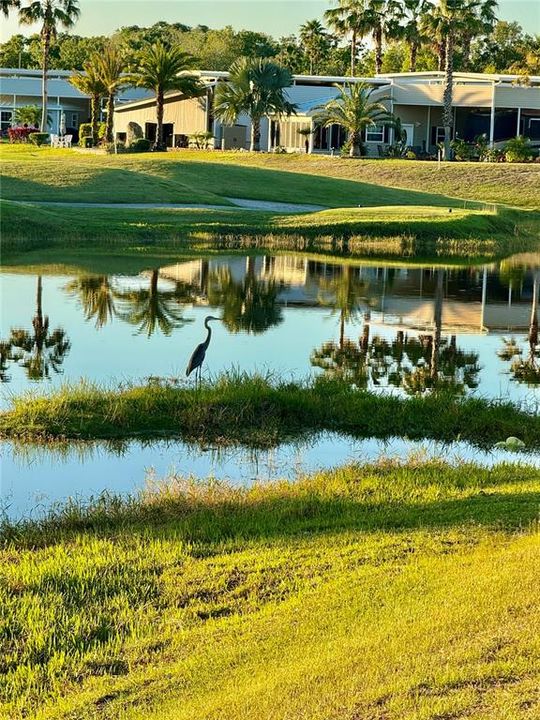 待售: $79,900 (0.09 acres)