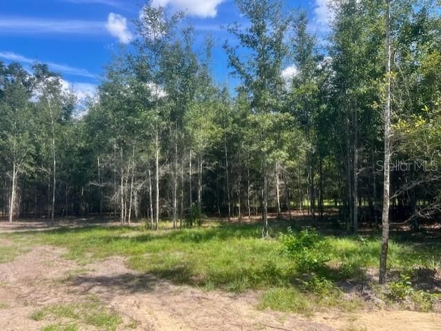 待售: $419,000 (3 贝兹, 2 浴室, 1804 平方英尺)