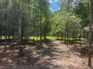 待售: $419,000 (3 贝兹, 2 浴室, 1804 平方英尺)