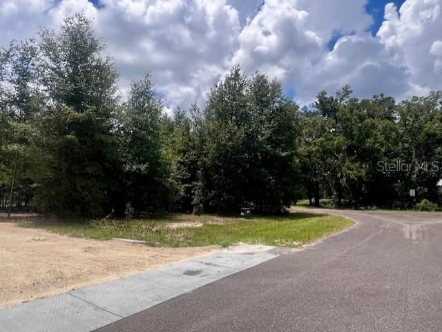 待售: $419,000 (3 贝兹, 2 浴室, 1804 平方英尺)