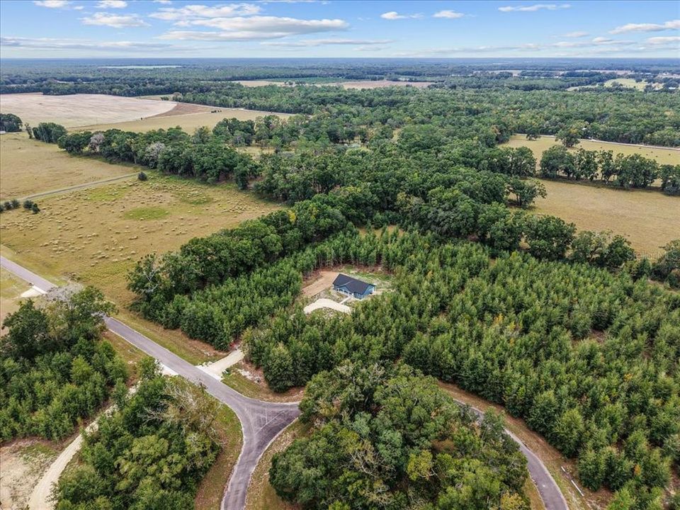 待售: $419,000 (3 贝兹, 2 浴室, 1804 平方英尺)