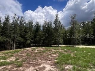 待售: $419,000 (3 贝兹, 2 浴室, 1804 平方英尺)