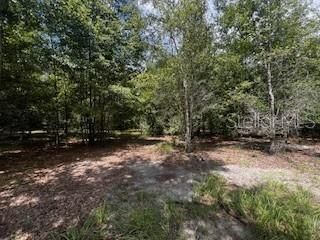 待售: $419,000 (3 贝兹, 2 浴室, 1804 平方英尺)