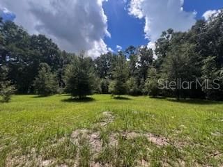 待售: $419,000 (3 贝兹, 2 浴室, 1804 平方英尺)