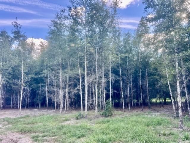 待售: $419,000 (3 贝兹, 2 浴室, 1804 平方英尺)