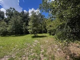 待售: $419,000 (3 贝兹, 2 浴室, 1804 平方英尺)