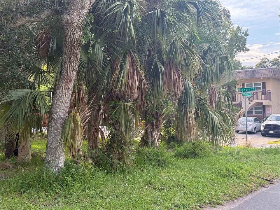 待售: $59,900 (0.11 acres)