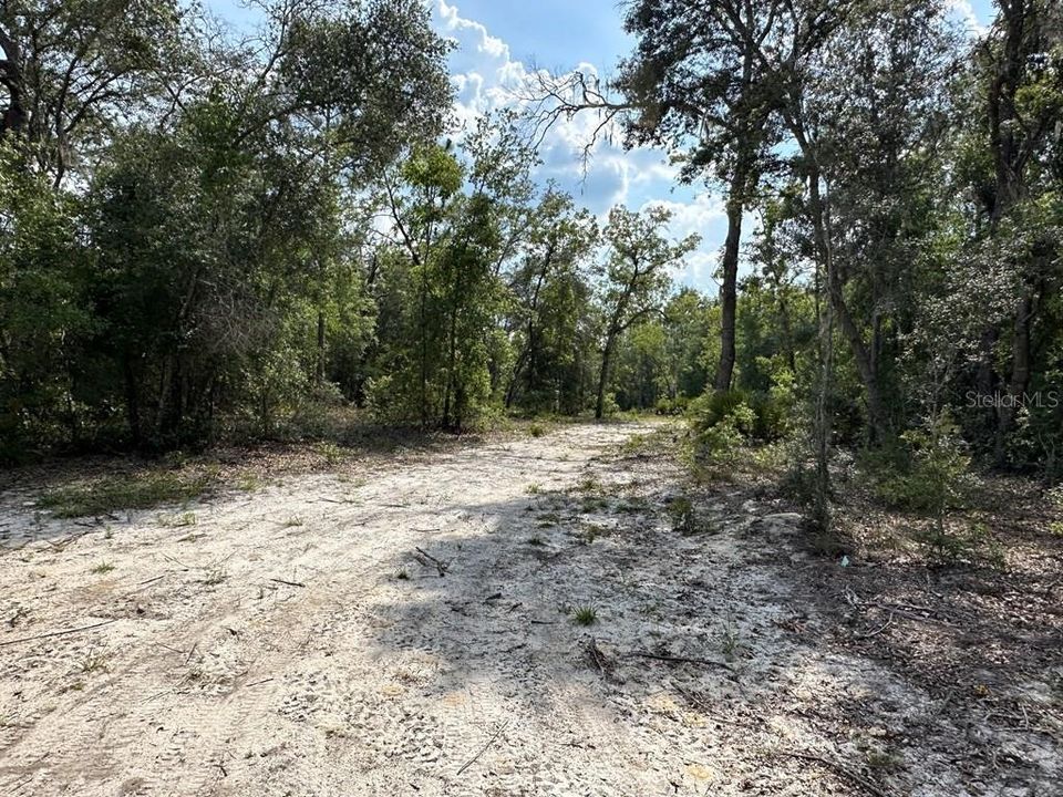 For Sale: $75,900 (5.00 acres)