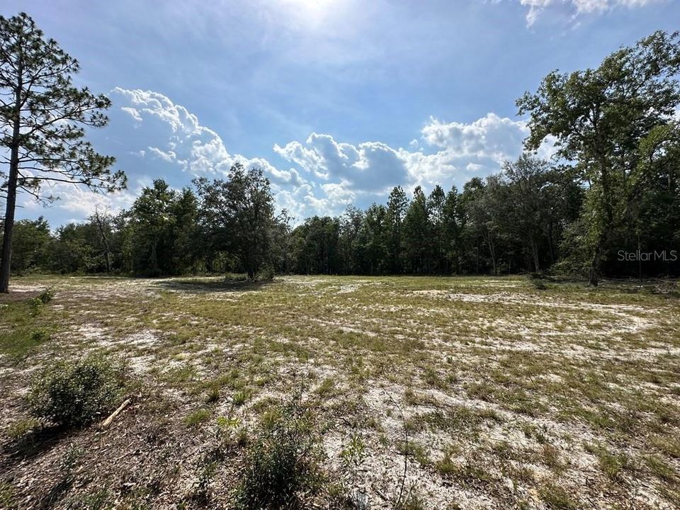 For Sale: $75,900 (5.00 acres)