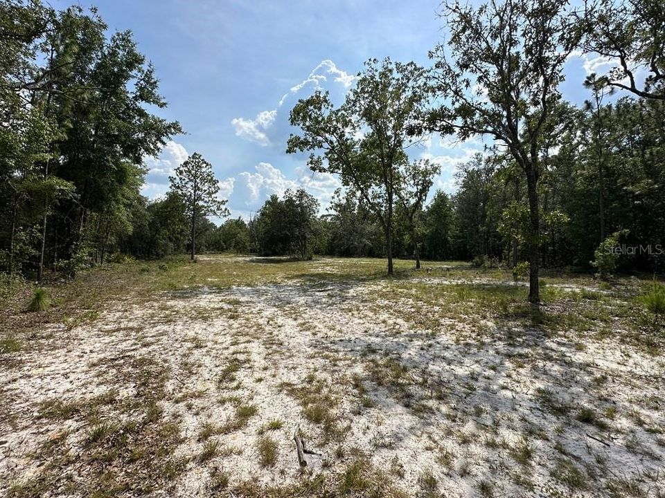 For Sale: $75,900 (5.00 acres)