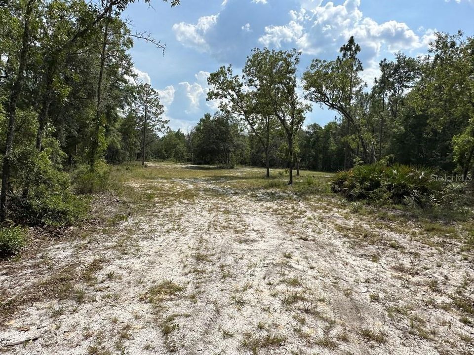 For Sale: $75,900 (5.00 acres)