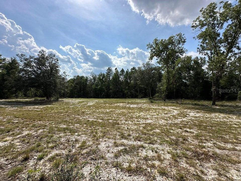 For Sale: $75,900 (5.00 acres)