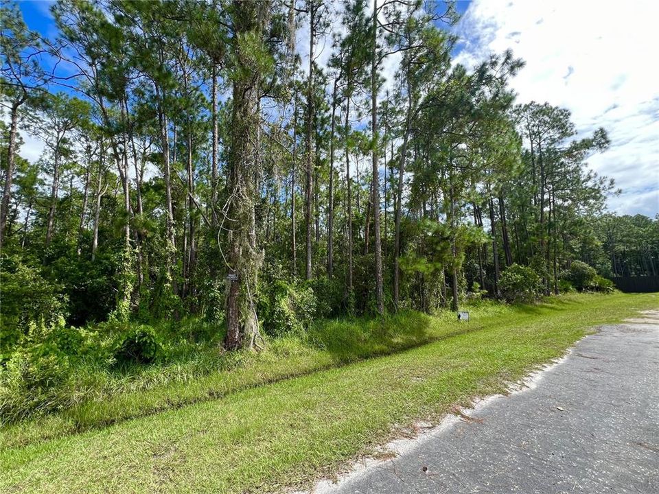 Недавно продано: $239,000 (0.67 acres)