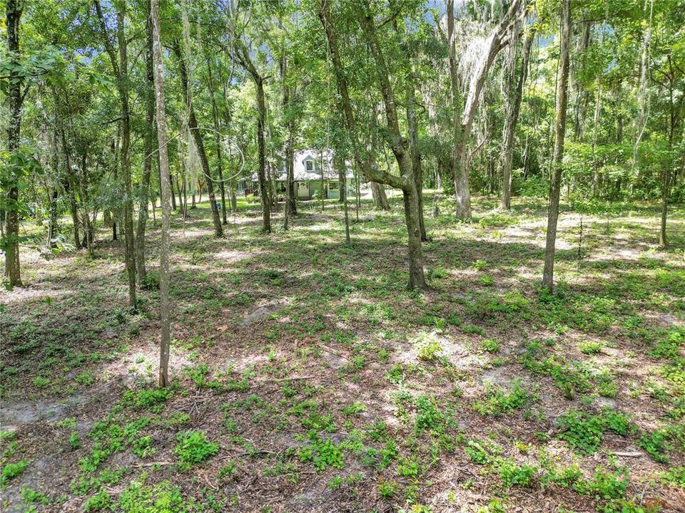 For Sale: $449,000 (4 beds, 2 baths, 1810 Square Feet)