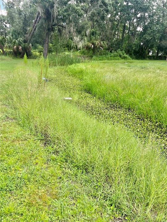 For Sale: $184,000 (3 beds, 2 baths, 1440 Square Feet)