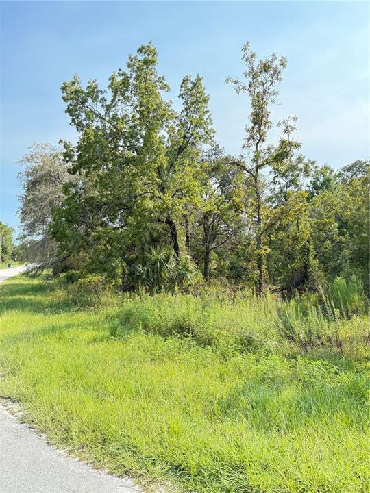 For Sale: $85,000 (0.85 acres)