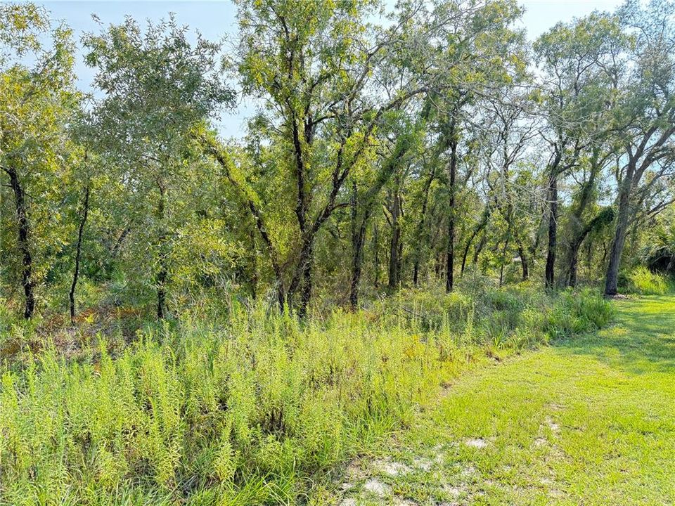 For Sale: $85,000 (0.85 acres)