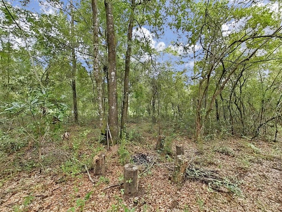 合同活跃: $23,500 (1.00 acres)