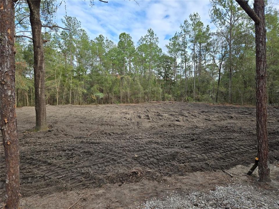 合同活跃: $23,500 (1.00 acres)