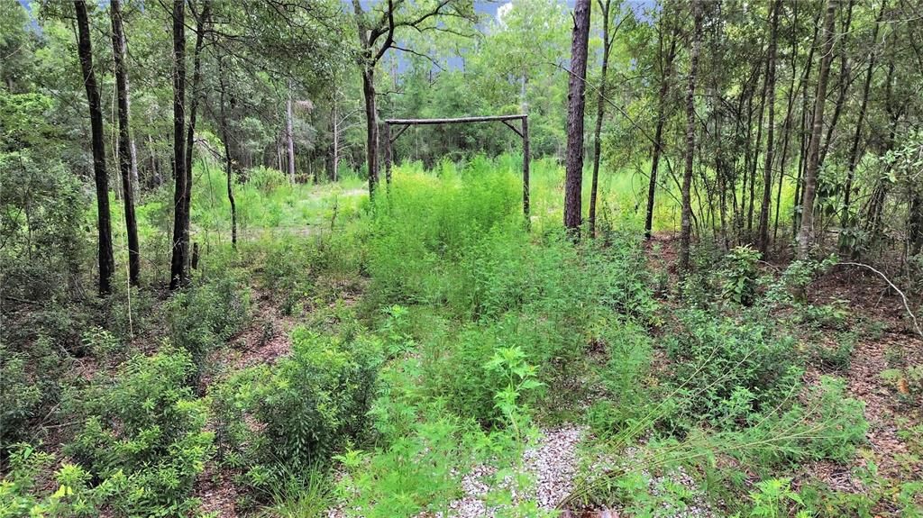 合同活跃: $23,500 (1.00 acres)