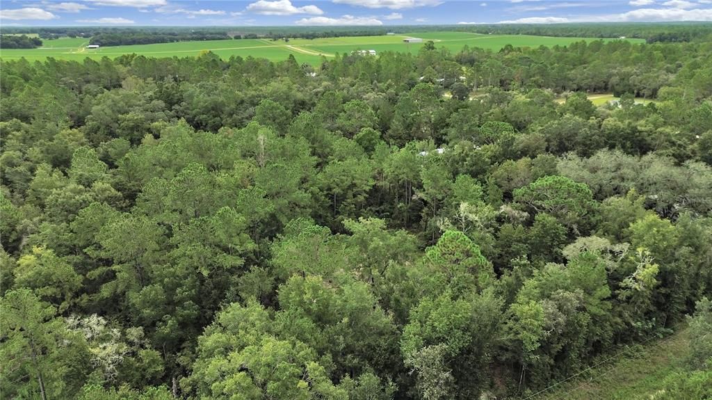 合同活跃: $23,500 (1.00 acres)